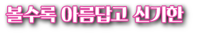 볼수록 아름답고 신기한