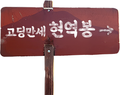 현역봉